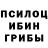 Галлюциногенные грибы прущие грибы Yra Kop